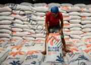 Bulog Pastikan Stok Beras di Papua Pegunungan Cukup hingga 3 Bulan