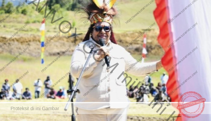 Tinjau Infrastruktur DOB, Wamendagri: Papua Pegunungan Harus Segera Miliki Kantor Pemerintahan