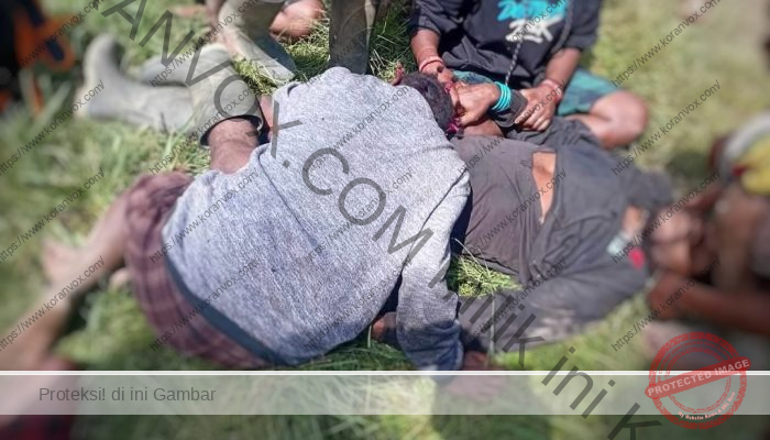 Dua Warga Sipil dan Dua Anggota TPNPB OPM Tewas dalam Kontak Senjata di Intan Jaya