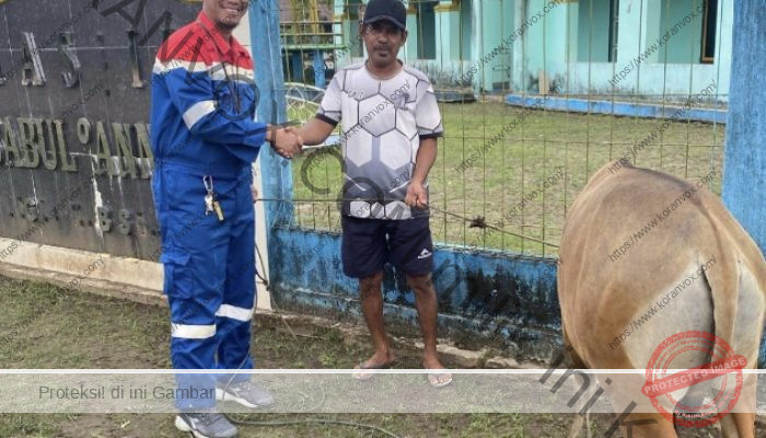 Perkuat Silaturahmi, Kilang Kasim Salurkan Hewan Kurban kepada Masyarakat di Sorong