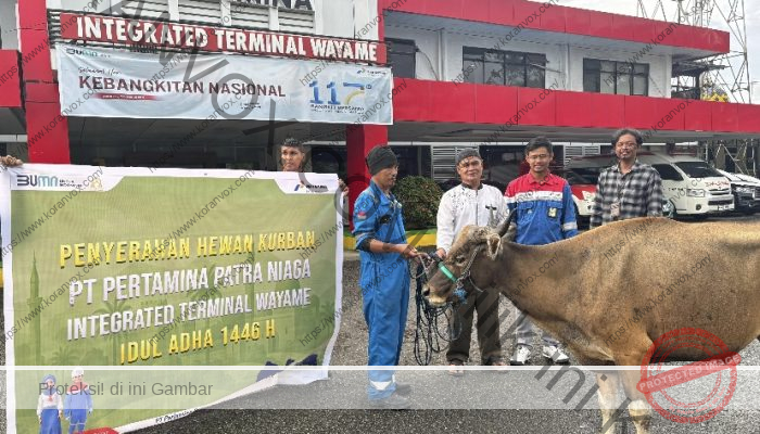 Rayakan Idul Adha 1446 H, Pertamina Patra Niaga Regional Papua Maluku Salurkan 136 Hewan Kurban ke Masyarakat