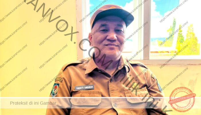 Anggaran Sekitar Rp 500 M, PUPR Papua Pegunungan Fokus Bangun Jalan dan Infrastruktur Dasar
