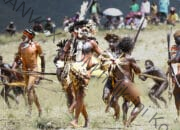 Persiapan Puncak Festival Budaya Lembah Baliem 2025 Capai 85 Persen
