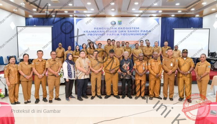 Diskominfo Papua Pegunungan dan BSSN Bersinergi Perkuat Keamanan Siber Daerah