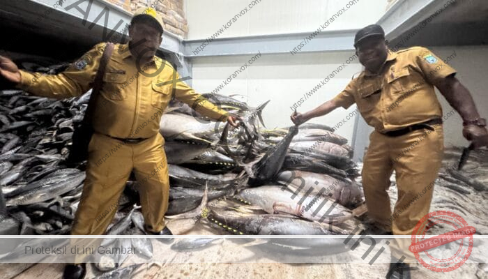 Papua Pegunungan dan Biak Numfor Jalin Kerja Sama Ekonomi, Jamin Pangan dan Gizi Masyarakat