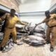 Papua Pegunungan dan Biak Numfor Jalin Kerja Sama Ekonomi, Jamin Pangan dan Gizi Masyarakat