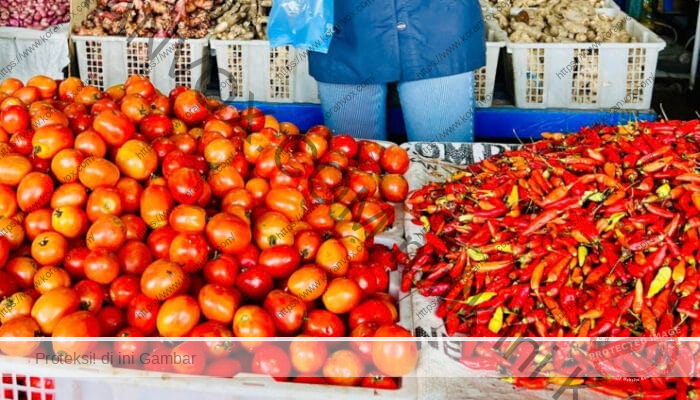 Harga  Cabai dan Tomat di Wamena Melonjak Drastis, Ini Penyebabnya