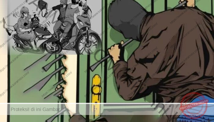 Maraknya Pencurian di Wamena: Dari Gereja hingga Wartawan Jadi Korban