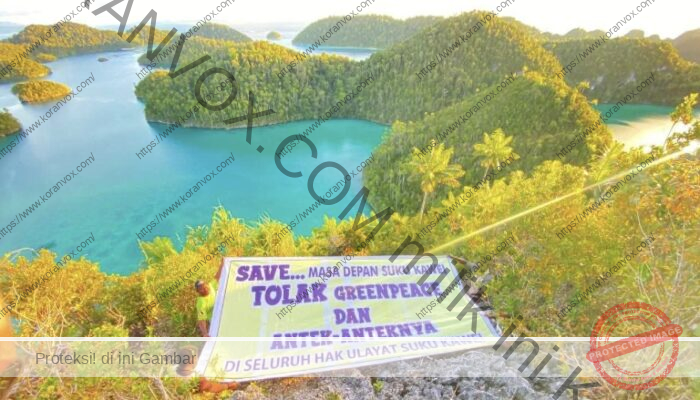 Masyarakat Adat Kawei di Raja Ampat Tolak Greenpeace, Desak Izin Tambang Dikembalikan