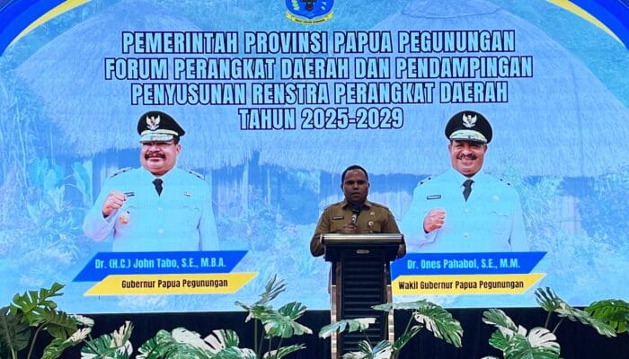 Penyusunan Renstra OPD 2025-2029 Jadi Fokus Bapperida Papua Pegunungan