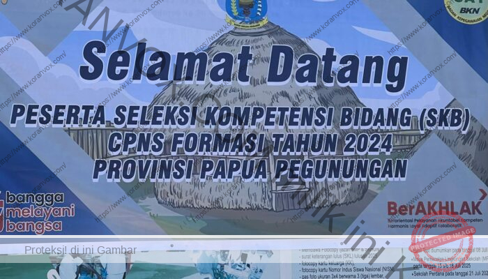 Penundaan SKB, Pemprov Papua Pegunungan Jelaskan Mekanisme Seleksi Sesuai Aturan Menpan