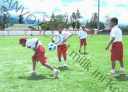 Kadisporaparekraf Papua Pegunungan Minta Komisi X DPR RI Dukung Pembangunan Fasilitas Olahraga 