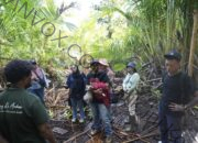 Dari Konservasi Menjadi Inspirasi, Kilang Kasim Hidupkan Saupon Adventure Village