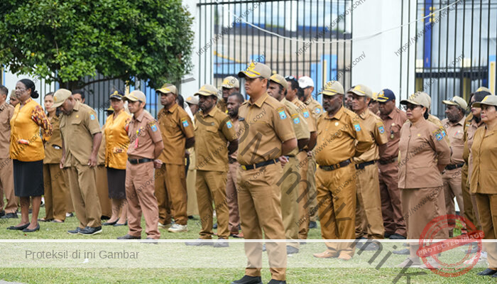 Pemprov Papua Pegunungan Tegaskan Penataan ASN Berbasis Adil dan Kinerja Usai Pemekaran OPD