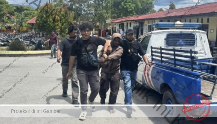 Mengintai Dua Jam, Polres Jayawijaya  Tangkap Pelaku Curas Sadis Bisibi Elopere