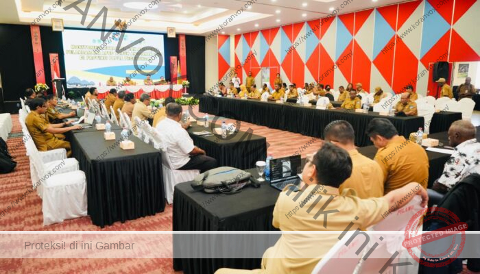 Rakor APBD 2025 Papua Pegunungan Fokuskan Percepatan Pembangunan