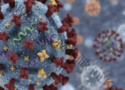 Waspada Superflu, Pemerintah Diminta Masifkan Penggunaan Masker di Ruang Publik