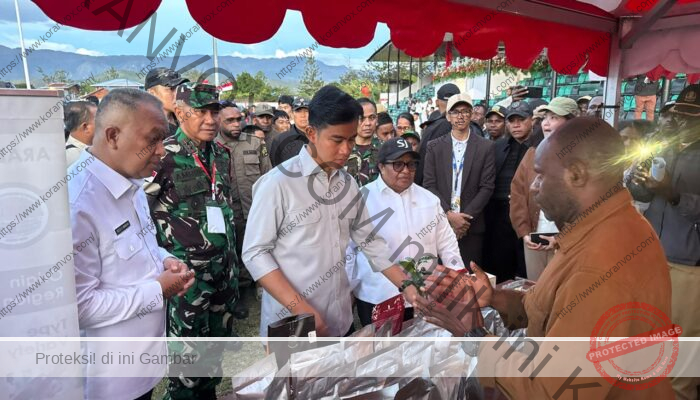 Wapres Gibran Dorong Pengembangan Kopi Papua Pegunungan saat Kunjungan ke Wamena