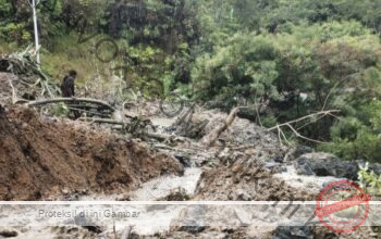 Longsor Tolikara Akibat Curah Hujan Tinggi, Tanah Labil Picu Bencana di Karubaga
