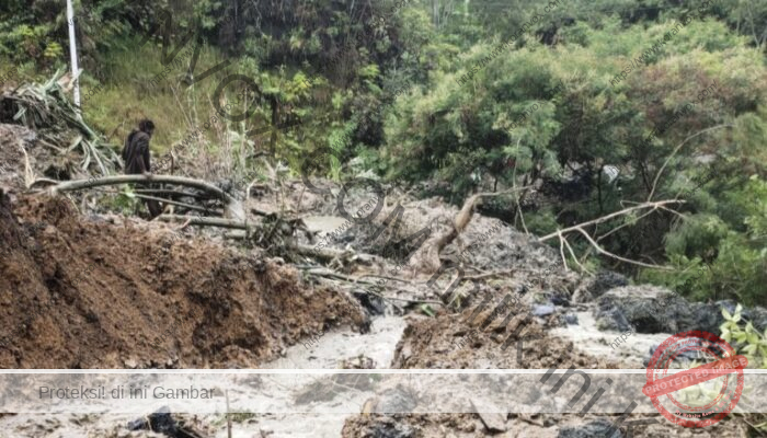 Longsor Tolikara Akibat Curah Hujan Tinggi, Tanah Labil Picu Bencana di Karubaga