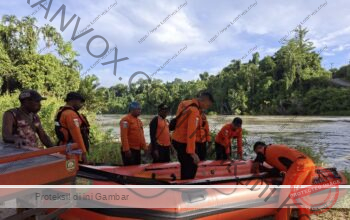 Warga Jayapura Diterkam Buaya Saat Memancing di Sungai Tami