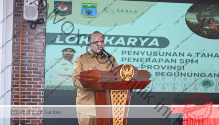 Biro Pemerintahan, Otsus dan Kesra Papua Pegunungan Percepat Penerapan SPM di Daerah