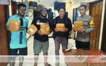 Penyelundupan 6 Kg Ganja di Pelabuhan Jayapura Digagalkan, Dua Pelaku Tertangkap