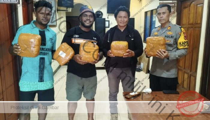 Penyelundupan 6 Kg Ganja di Pelabuhan Jayapura Digagalkan, Dua Pelaku Tertangkap