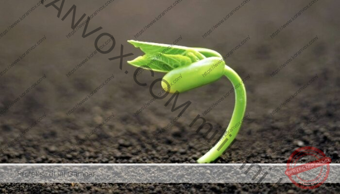 Kematian sebagai “Jalan” untuk Menghasilkan Buah Banyak