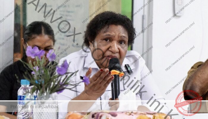 Wamendagri Soroti Pembenahan RSUD Yowari, Tata Kelola dan Aset Jadi Prioritas