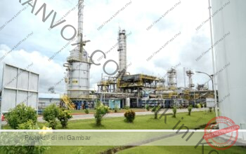 Pertamina RU VII Kasim Sukseskan Earth Hour 2026, Hemat Energi dan Tekan Emisi